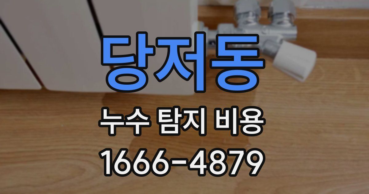 당저동 누수 탐지 비용