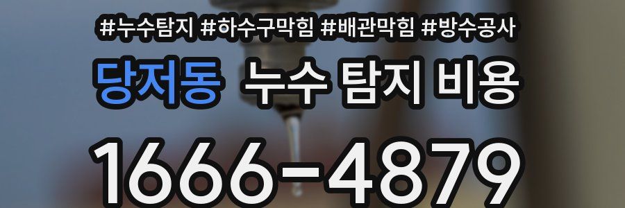당저동 누수 탐지 비용