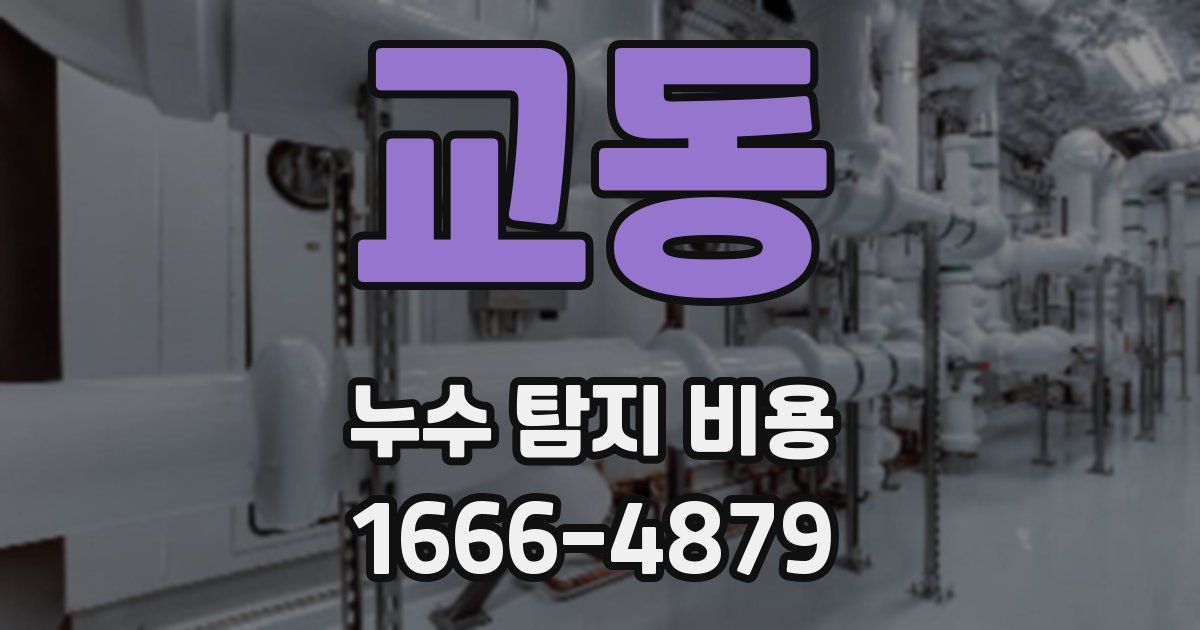 교동 누수 탐지 비용