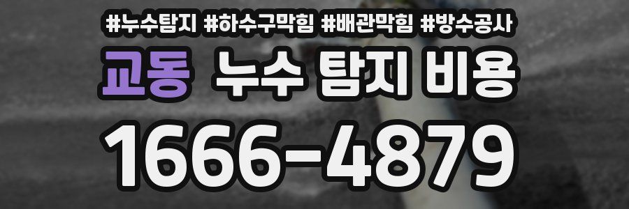 교동 누수 탐지 비용