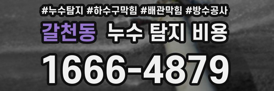 갈천동 누수 탐지 비용