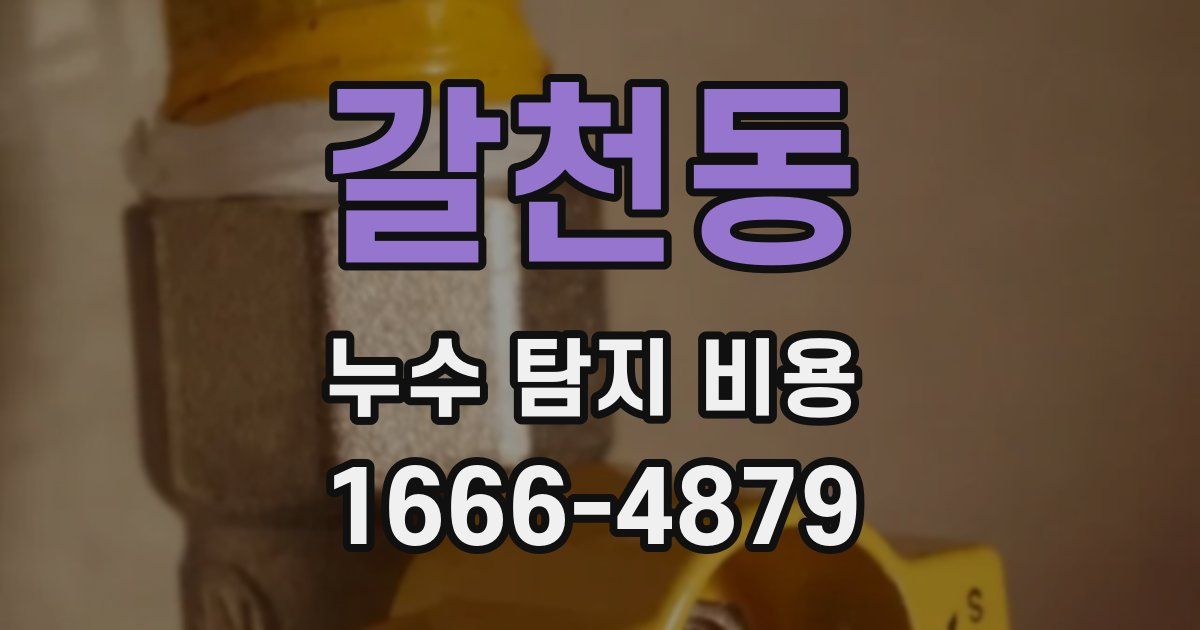 갈천동 누수 탐지 비용