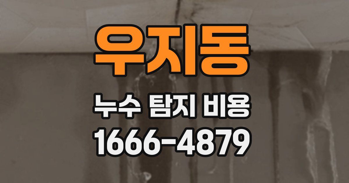 우지동 누수 탐지 비용