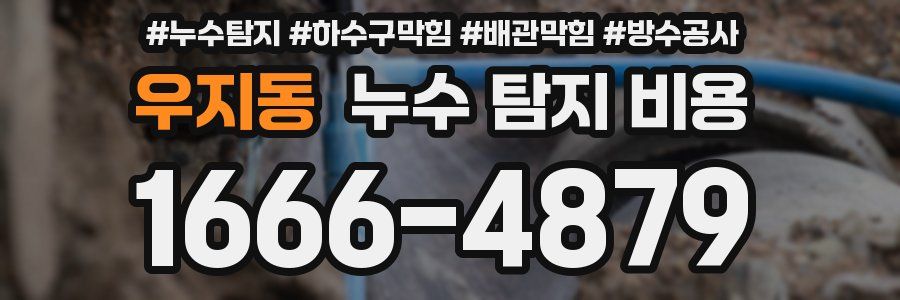 우지동 누수 탐지 비용