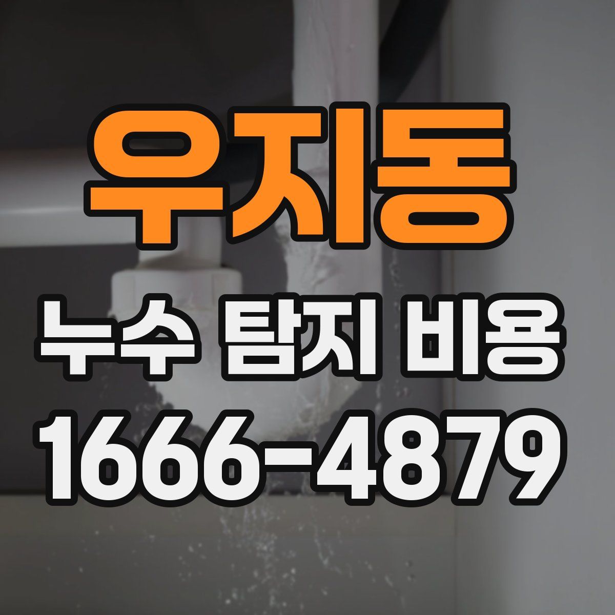 우지동 누수 탐지 비용