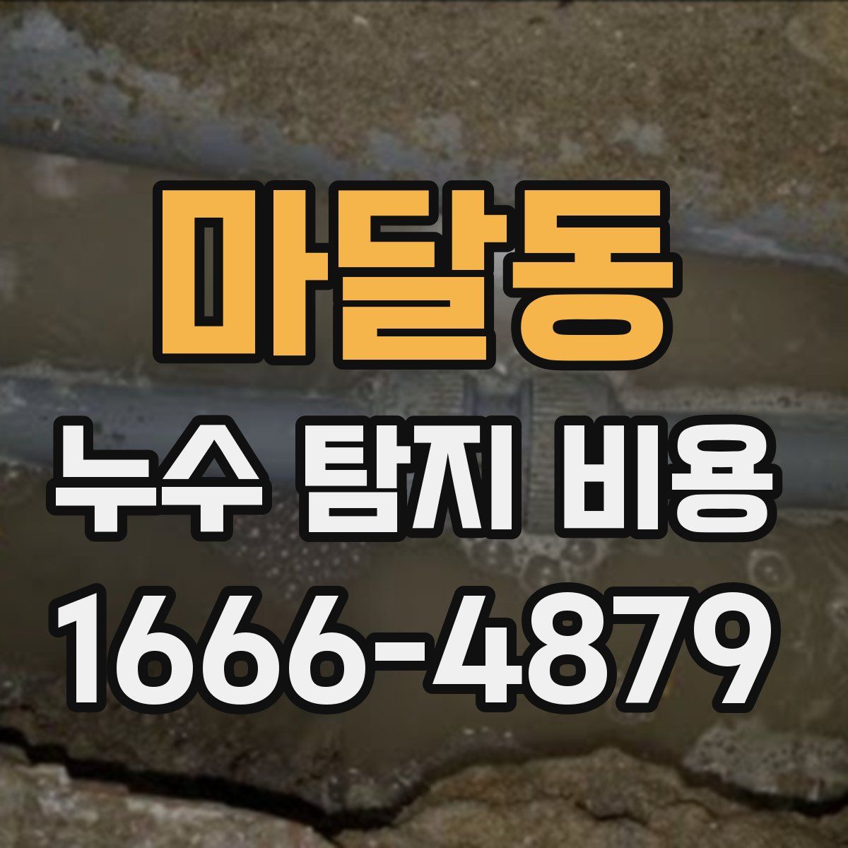 마달동 누수 탐지 비용