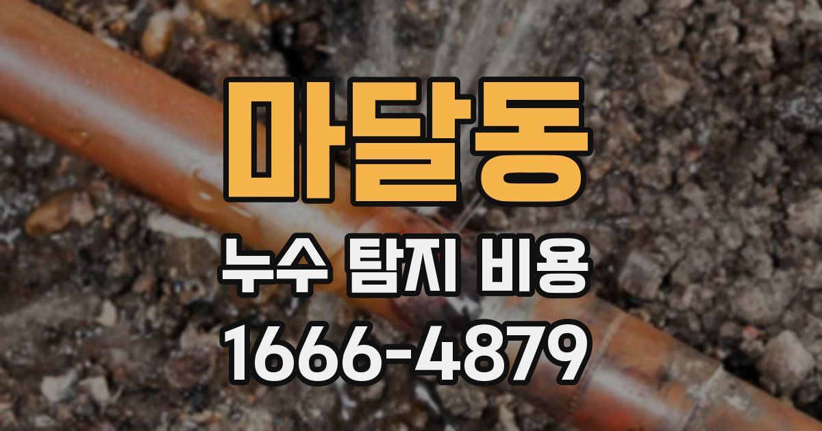마달동 누수 탐지 비용