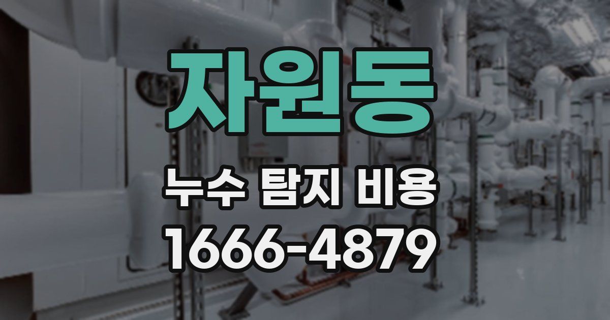 자원동 누수 탐지 비용