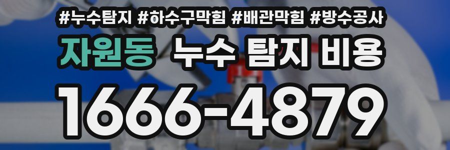 자원동 누수 탐지 비용