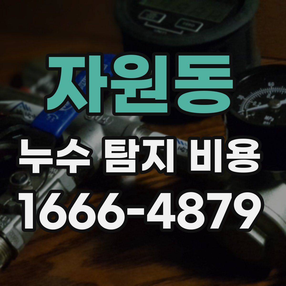 자원동 누수 탐지 비용