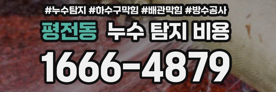 평전동 누수 탐지 비용