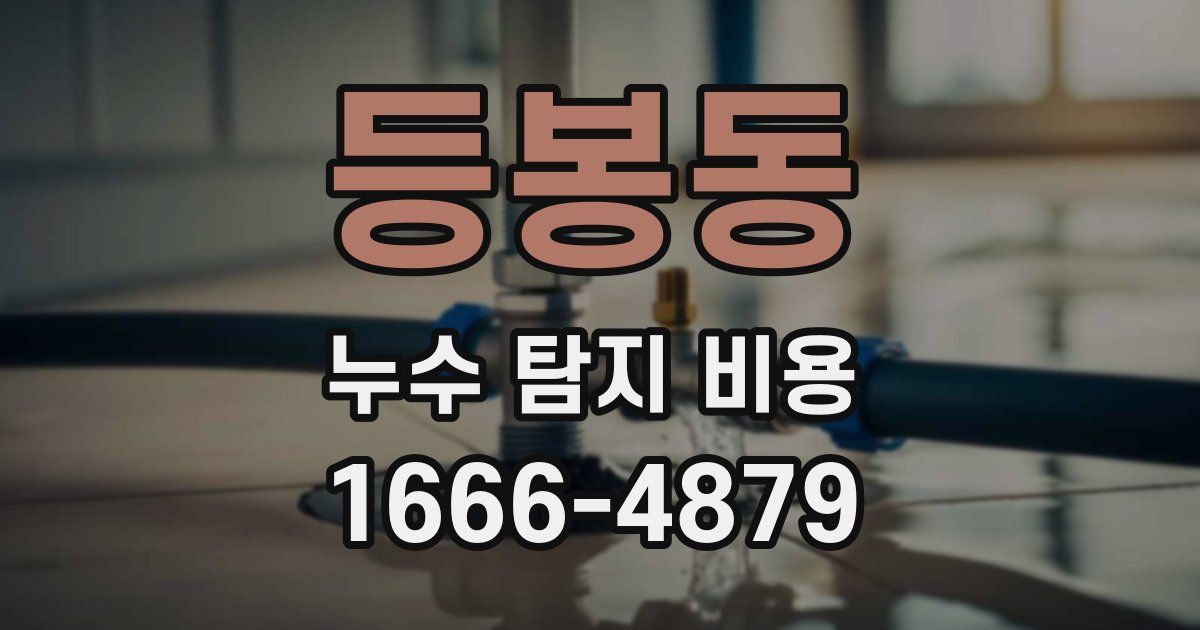 등봉동 누수 탐지 비용