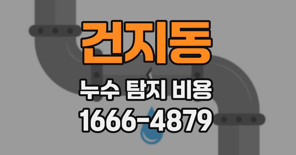 건지동 누수 탐지 비용