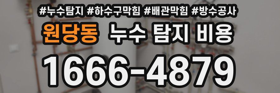 원당동 누수 탐지 비용