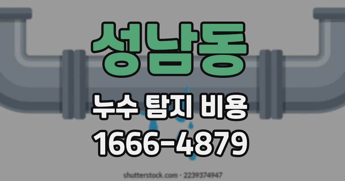 성남동 누수 탐지 비용