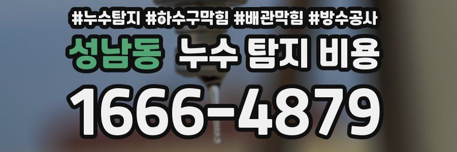 성남동 누수 탐지 비용