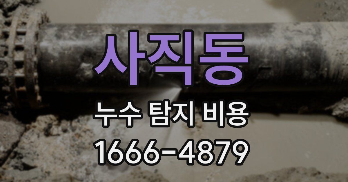 사직동 누수 탐지 비용