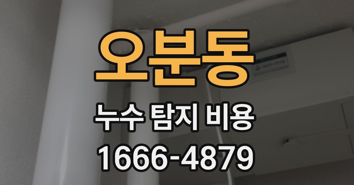 오분동 누수 탐지 비용