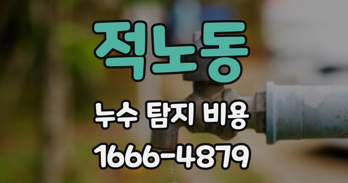 적노동 누수 탐지 비용