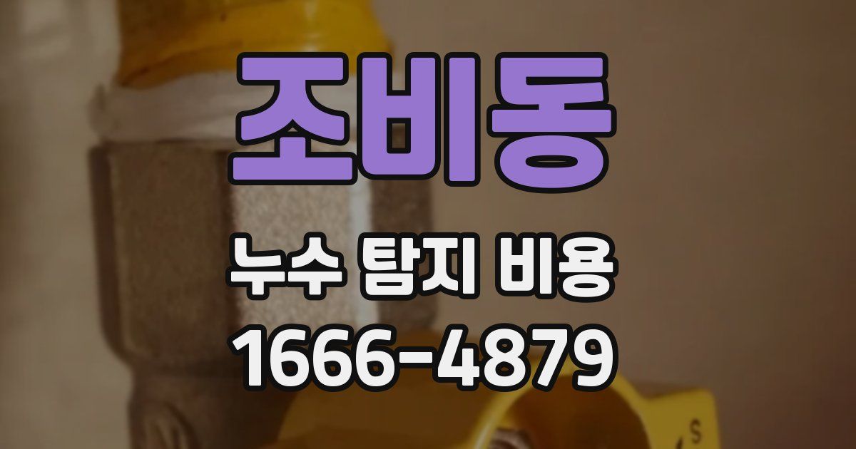 조비동 누수 탐지 비용