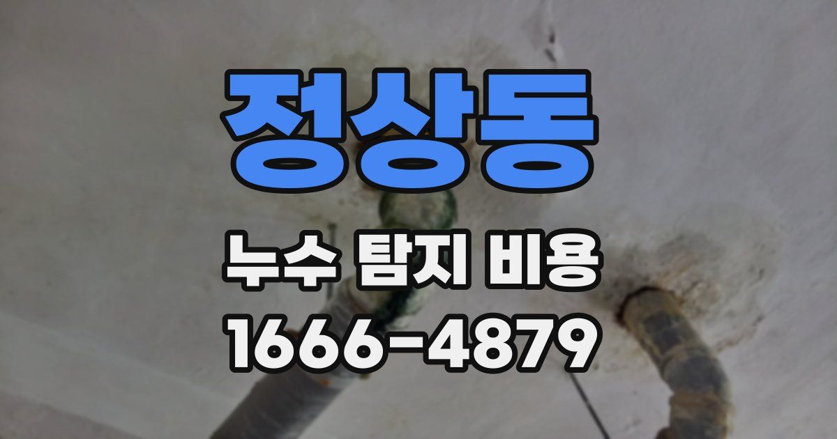 정상동 누수 탐지 비용