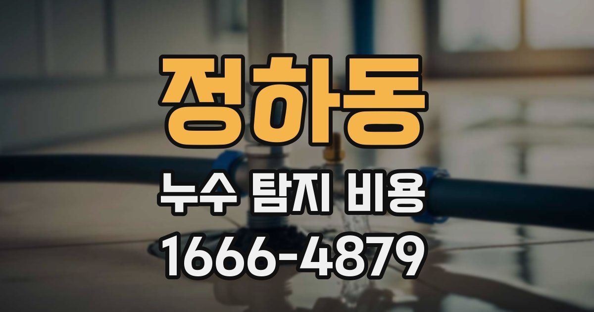 정하동 누수 탐지 비용