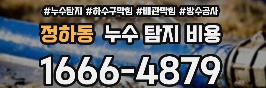 정하동 누수 탐지 비용