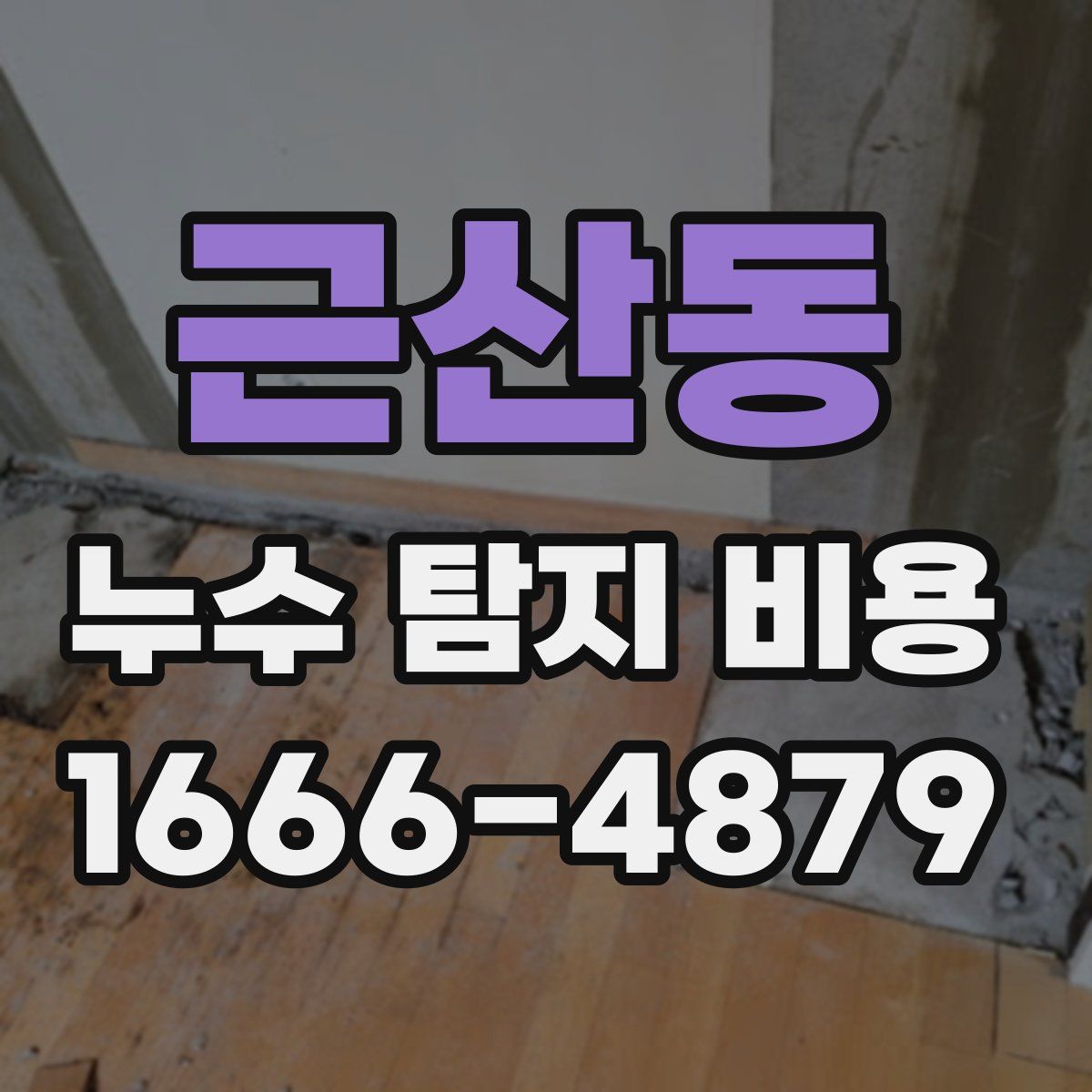 근산동 누수 탐지 비용
