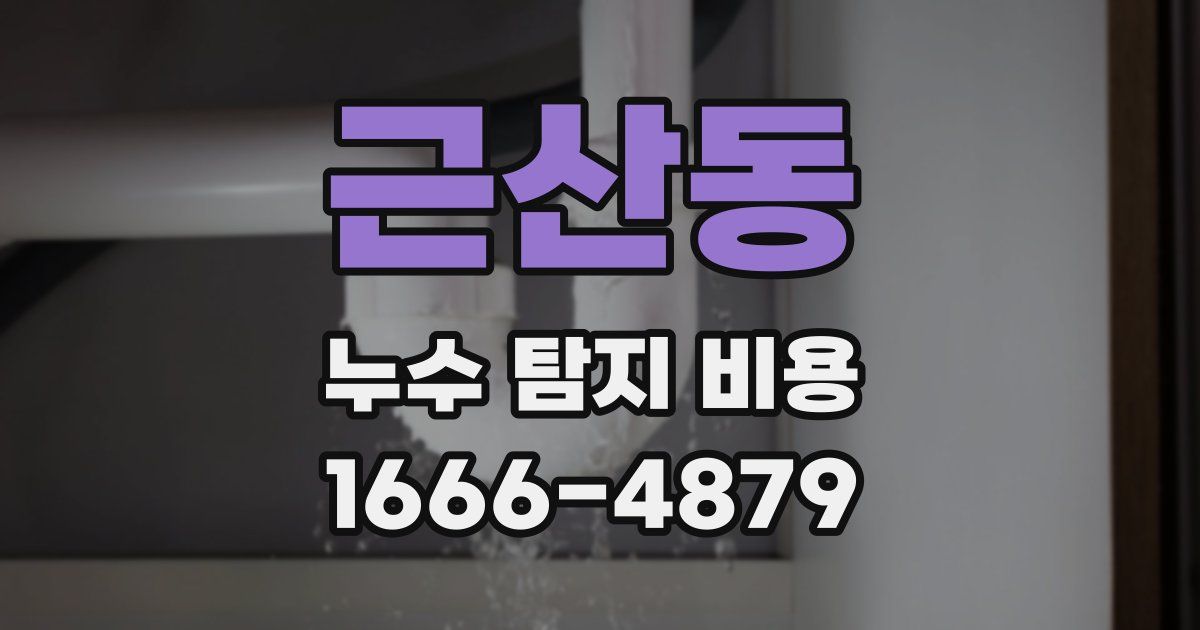 근산동 누수 탐지 비용