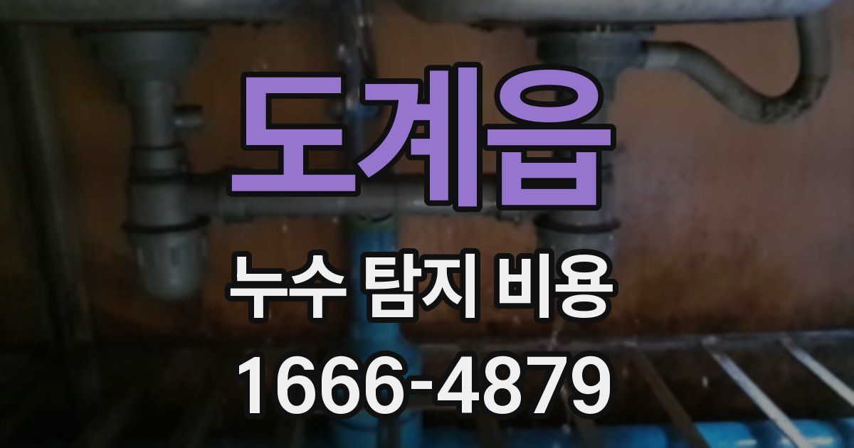 도계읍 누수 탐지 비용