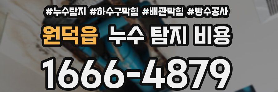 원덕읍 누수 탐지 비용