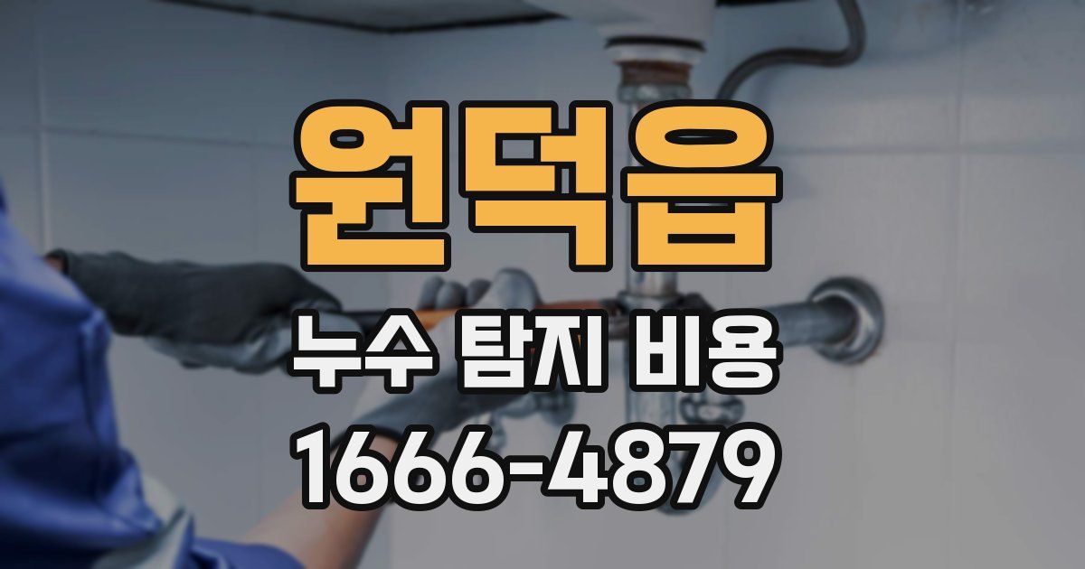 원덕읍 누수 탐지 비용