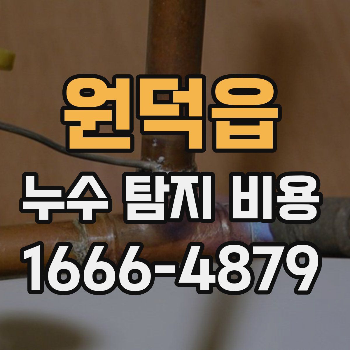 원덕읍 누수 탐지 비용
