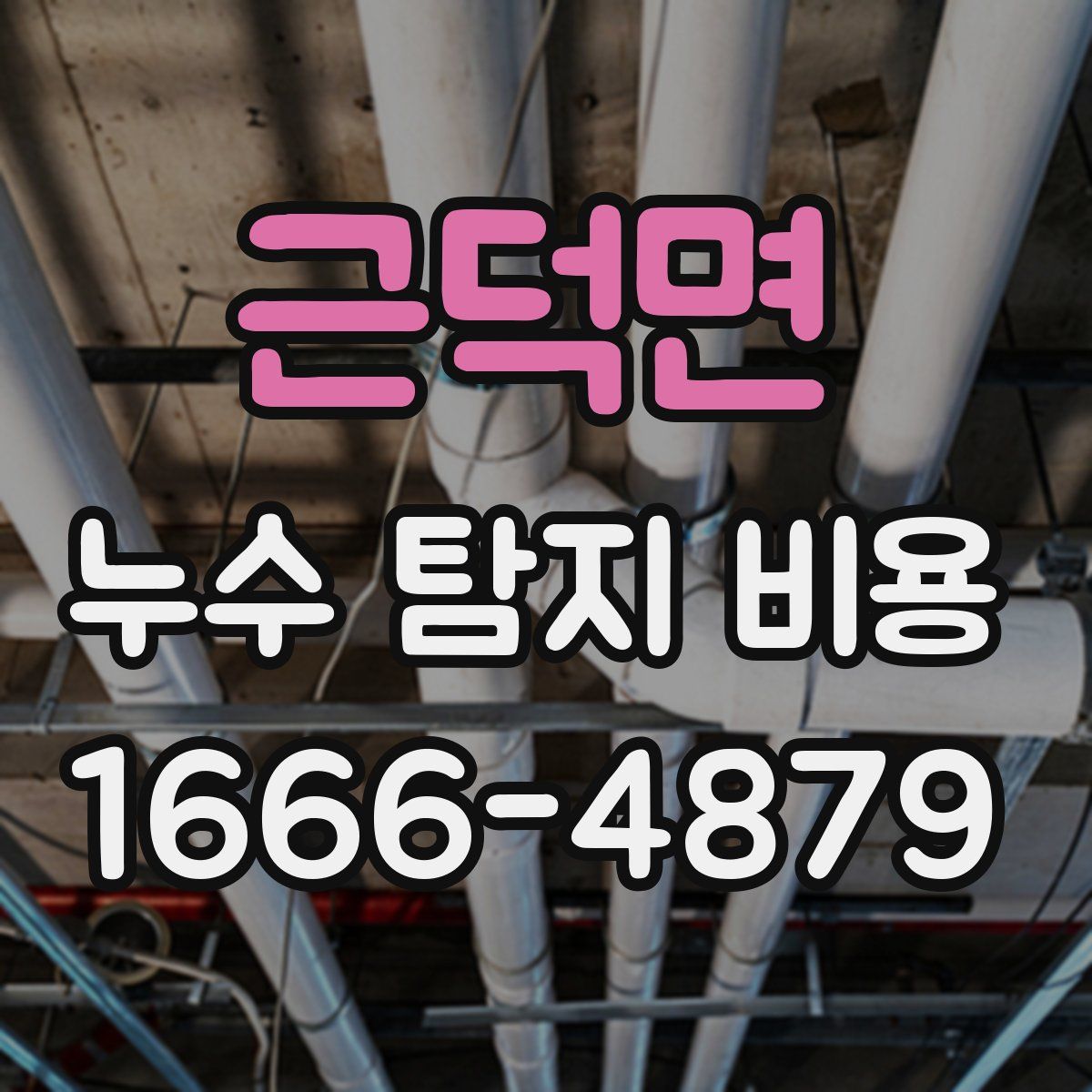 근덕면 누수 탐지 비용