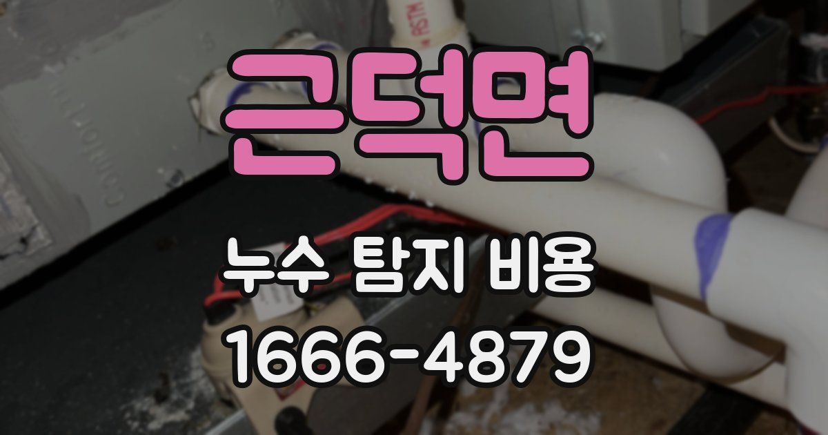 근덕면 누수 탐지 비용