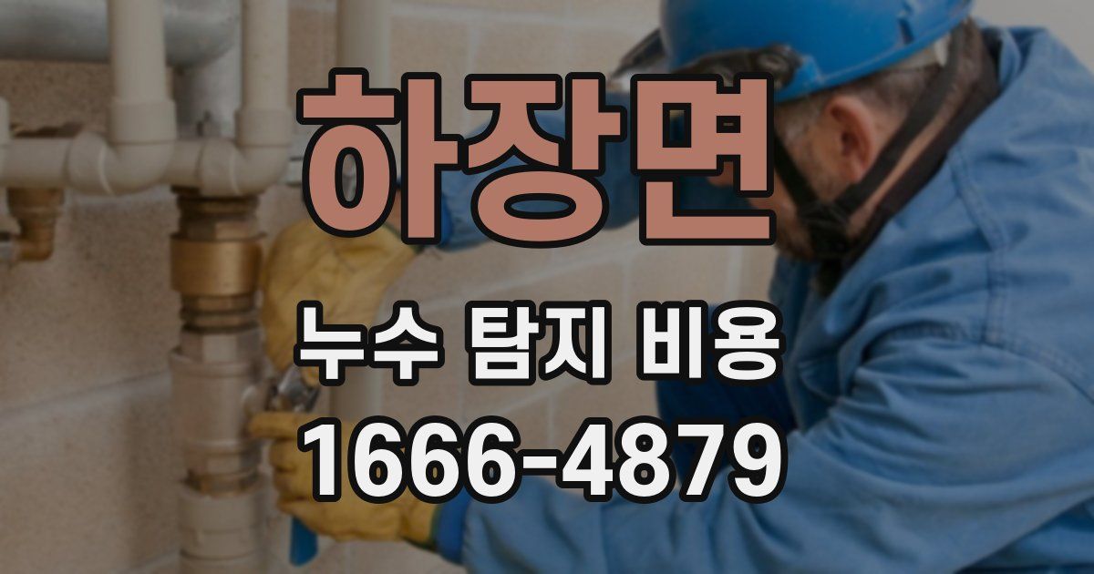 하장면 누수 탐지 비용