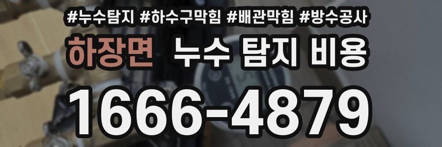 하장면 누수 탐지 비용