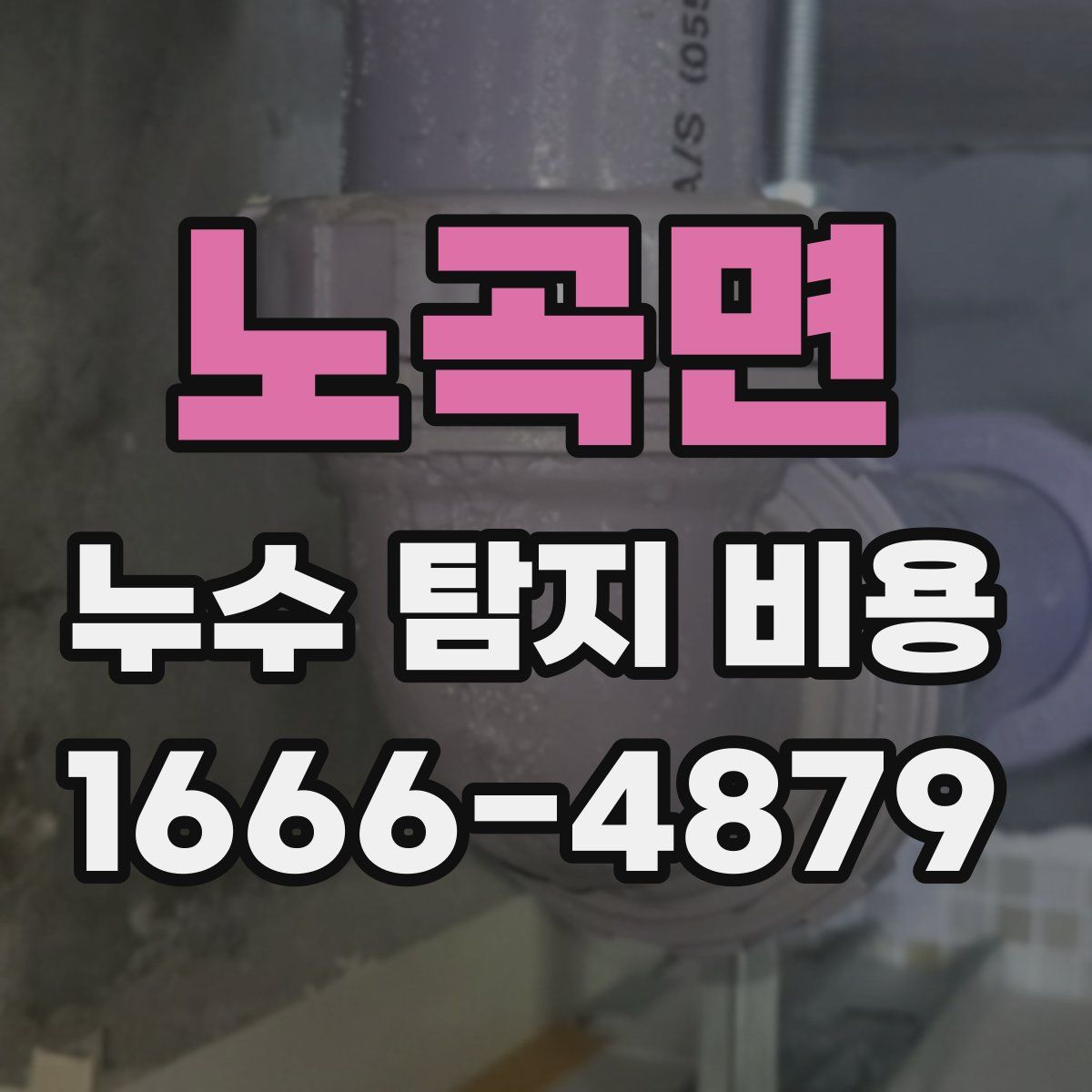 노곡면 누수 탐지 비용
