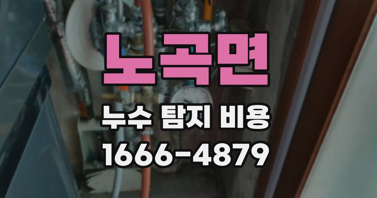 노곡면 누수 탐지 비용
