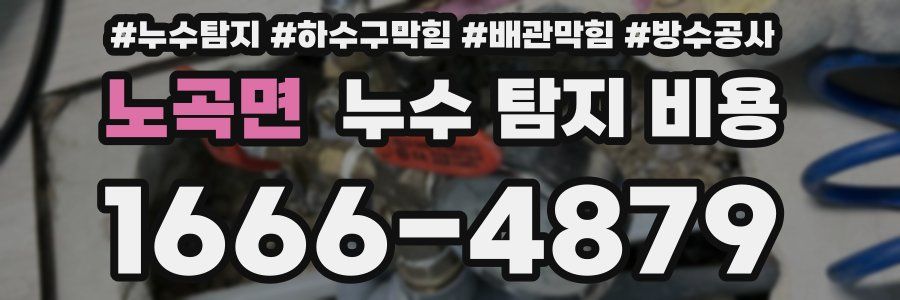 노곡면 누수 탐지 비용