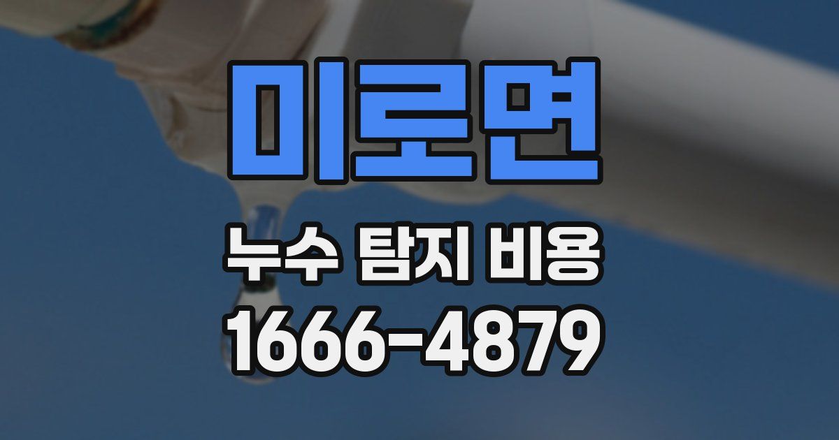 미로면 누수 탐지 비용