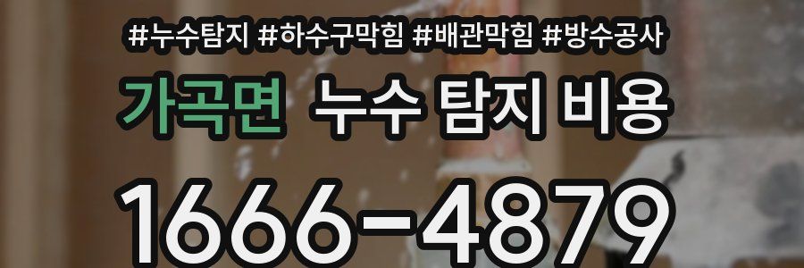 가곡면 누수 탐지 비용