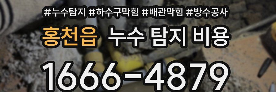 홍천읍 누수 탐지 비용