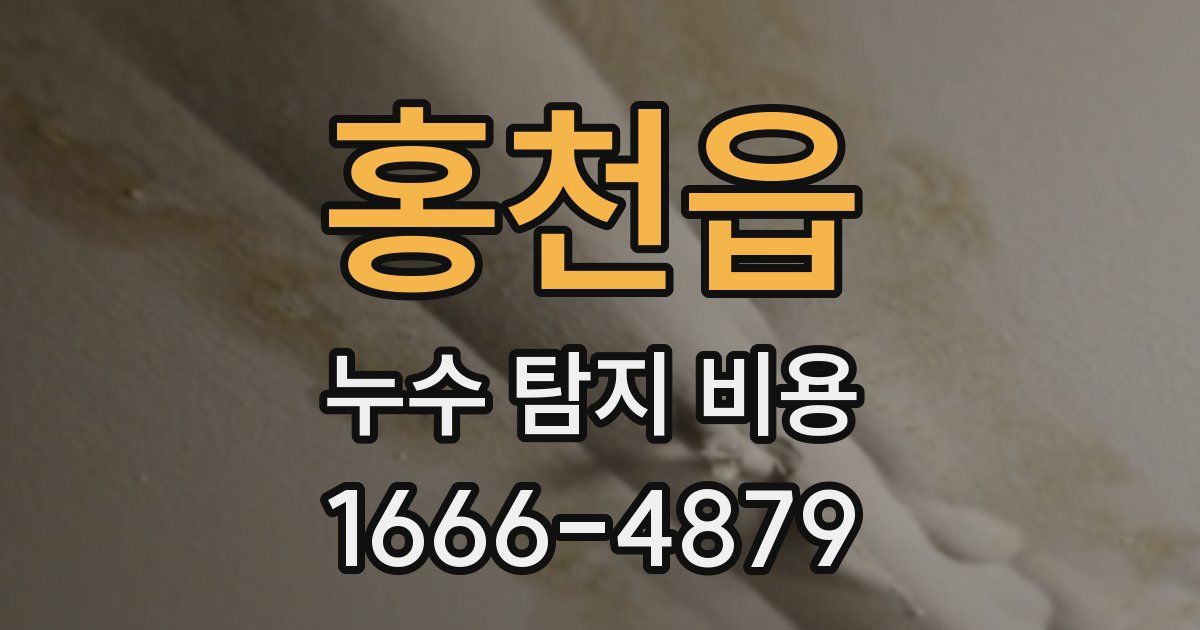 홍천읍 누수 탐지 비용