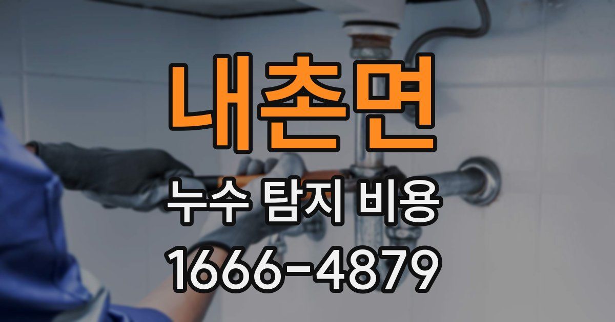 내촌면 누수 탐지 비용