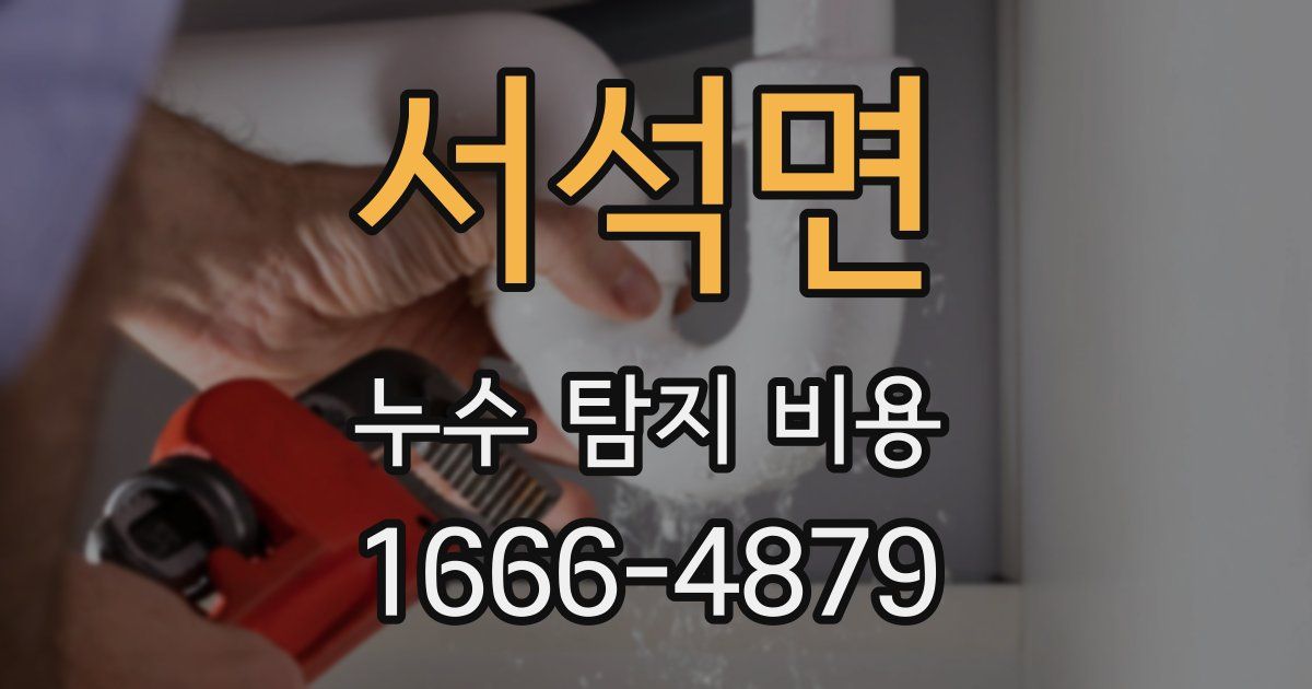 서석면 누수 탐지 비용
