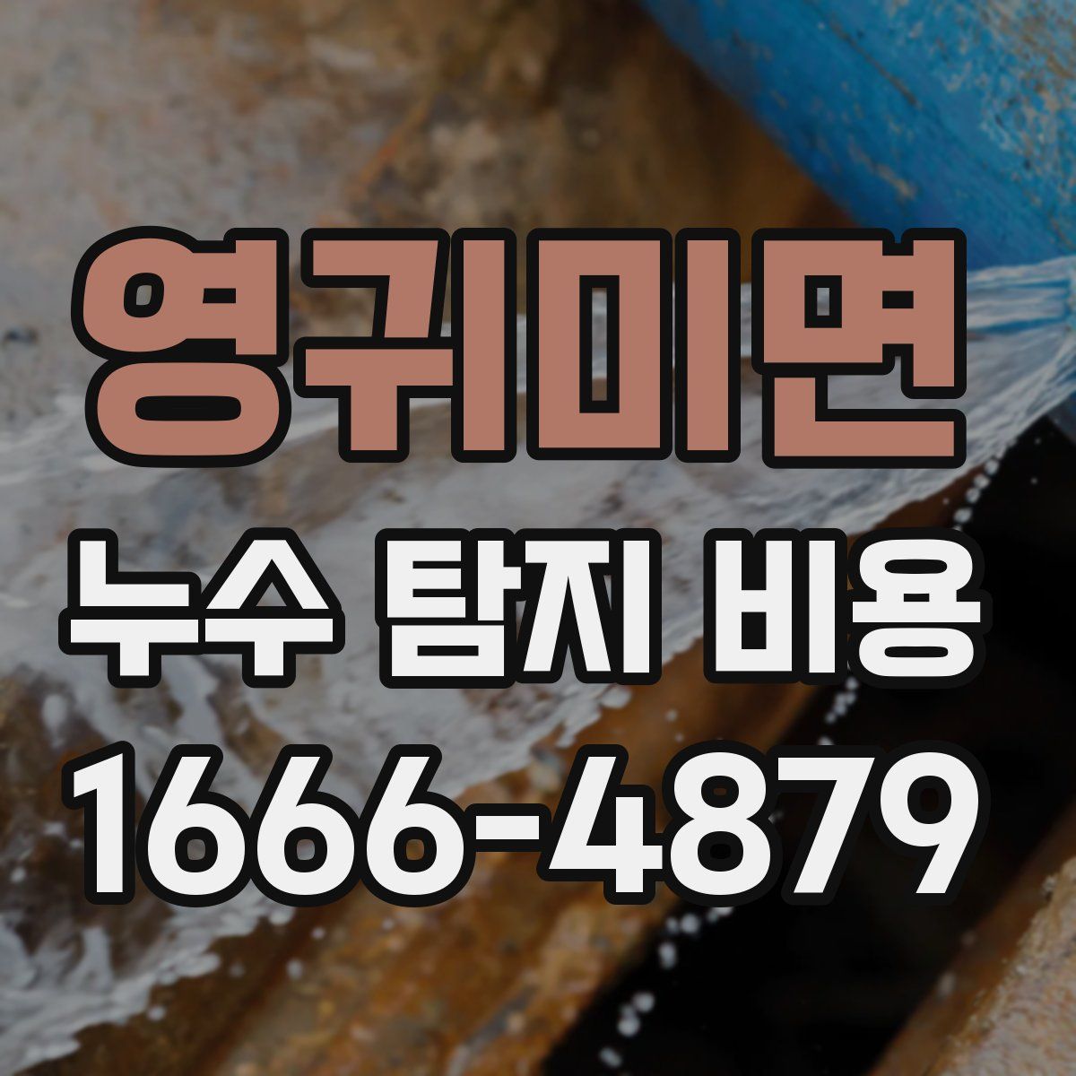 영귀미면 누수 탐지 비용