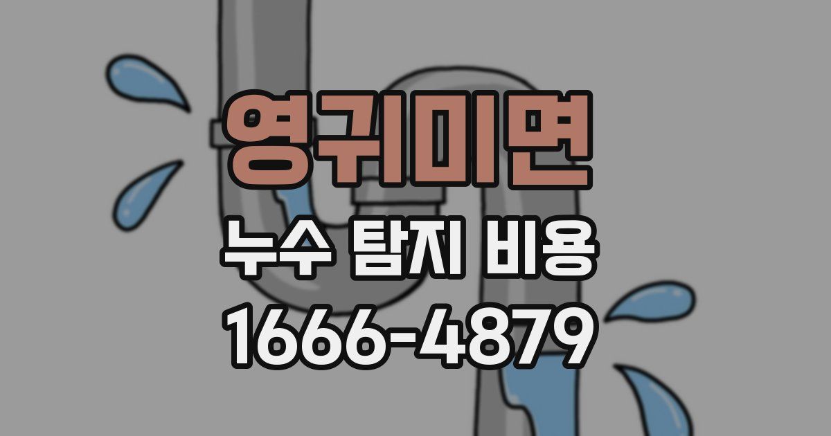 영귀미면 누수 탐지 비용