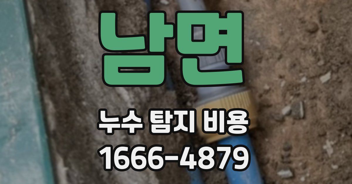 남면 누수 탐지 비용