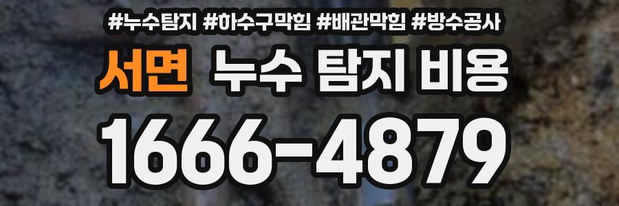 서면 누수 탐지 비용
